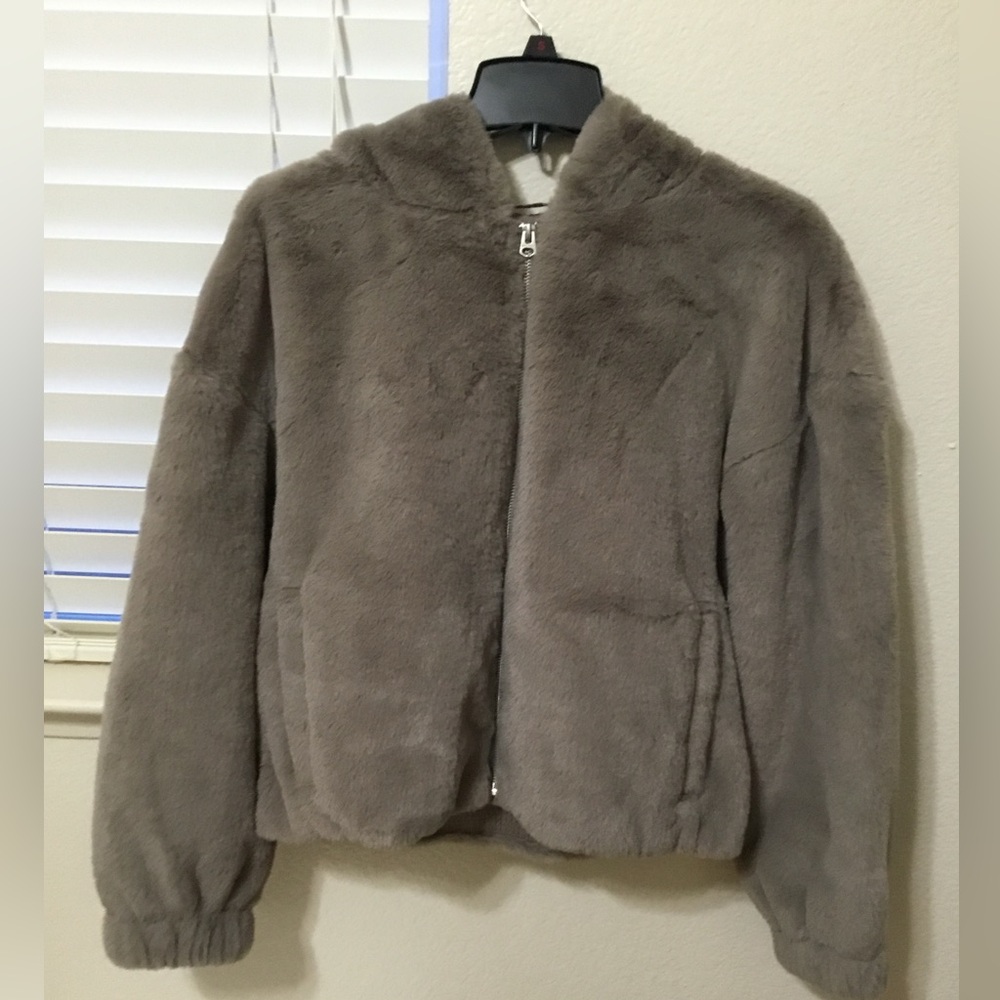 Brand new Holister jacket